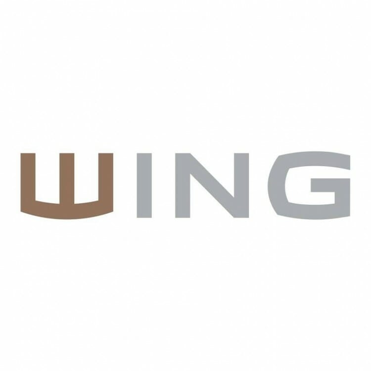 A Wing lett közép-kelet európa legnagyobb magyar tulajdonú irodafejlesztője