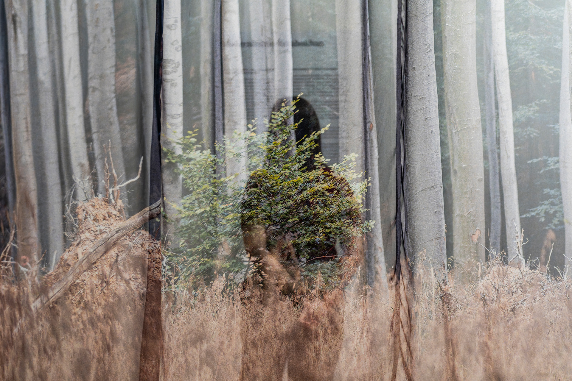 WING's architectural history exhibition wins Art is Business' prestigious "Corporate Art Project" award