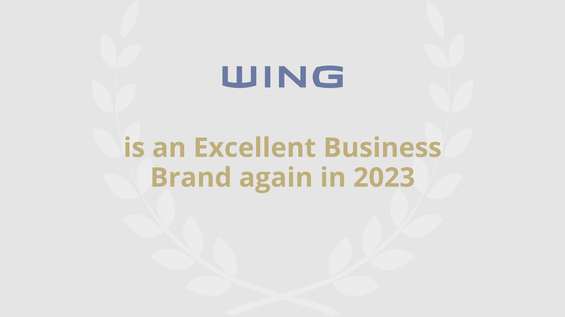 WING has won in MagyarBrands’ Excellent Business Brands category once again in 2023